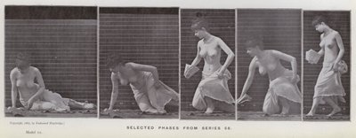 動き回る人間の姿。シリーズ56からの選択段階（モノクロ写真 作： Eadweard Muybridge