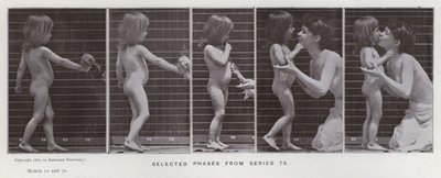 動きのある人間の姿。シリーズ79からの選択段階（モノクロ写真 作： Eadweard Muybridge
