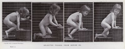 動きのある人間の姿。シリーズ86からの選択段階（モノクロ写真 作： Eadweard Muybridge
