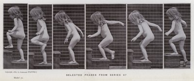 動きのある人間の姿。シリーズ87からの選択段階（モノクロ写真 作： Eadweard Muybridge