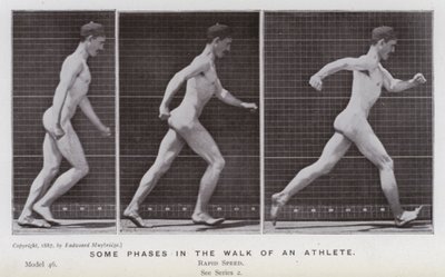 動きのある人間像。アスリートの歩き方のいくつかの段階（モノクロ写真 作： Eadweard Muybridge