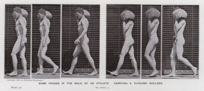 動きの中の人間像。75ポンドのボルダーを運ぶアスリートの歩行のいくつかの局面（モノクロ写真 作： Eadweard Muybridge