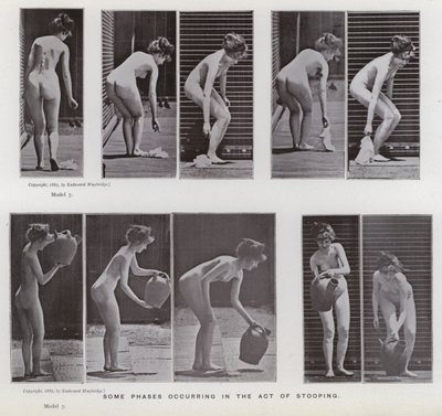 動いている人物：かがむ行為で発生するいくつかのフェーズ 作： Eadweard Muybridge