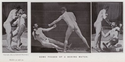 動きのある人間像。ボクシングの試合の様子（モノクロ写真 作： Eadweard Muybridge