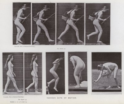 動きのある人間像。様々な動きをする人（モノクロ写真 作： Eadweard Muybridge