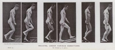 動く人間の姿。様々な条件での歩行（モノクロ写真 作： Eadweard Muybridge