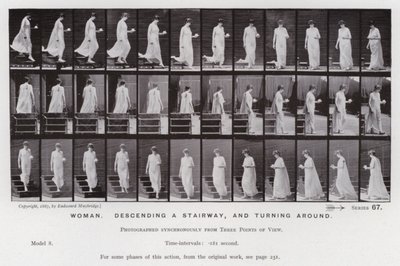 動く人間の姿。女性、階段を降りる、振り向く（モノクロ写真 作： Eadweard Muybridge