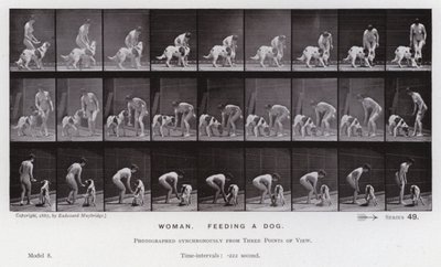 動きのある人間像女性、犬に餌をやる（モノクロ写真 作： Eadweard Muybridge