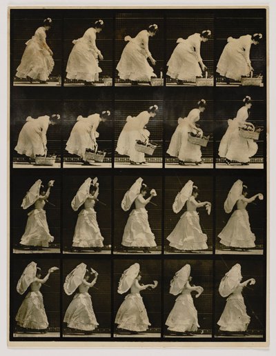 ハンカチを振りながらバスケットを持ち上げる女性（『Animal Locomotion』より 作： Eadweard Muybridge