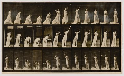 ボールを拾って投げる女性（『Animal Locomotion』より 作： エドワード・マイブリッジ