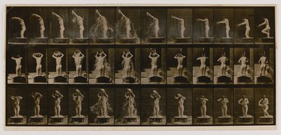 頭から洗面器に水をかける女性（『Animal Locomotion』より 作： Eadweard Muybridge