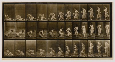 地面に座る女性（『動物の運動』より 作： Eadweard Muybridge