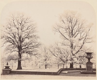 霧氷、公園の風景 作： Earl of Caithness