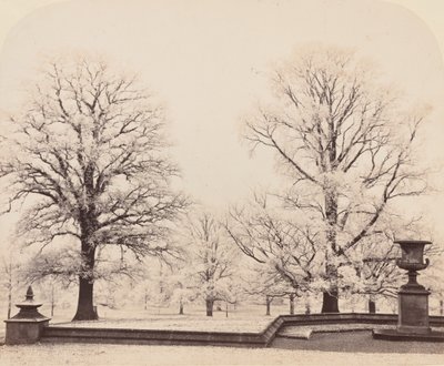 公園の風景、1862年のホアフロスト。 作： Earl of Caithness James Sinclair