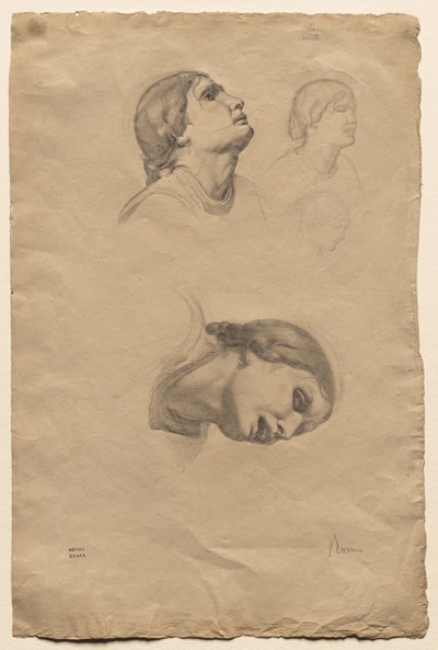 若いイタリア人女性の頭の 4 つの研究 作： Edgar Degas