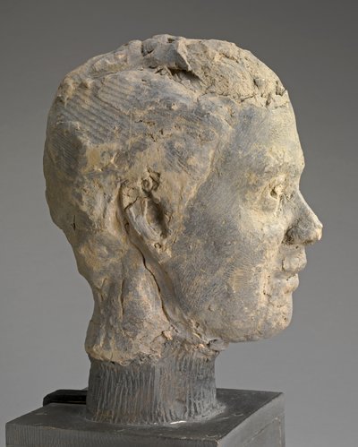 ヘッド、Mme Salleの肖像画の研究、c.1892（粘土、金属製アーマチュア、木製ベース） 作： Edgar Degas