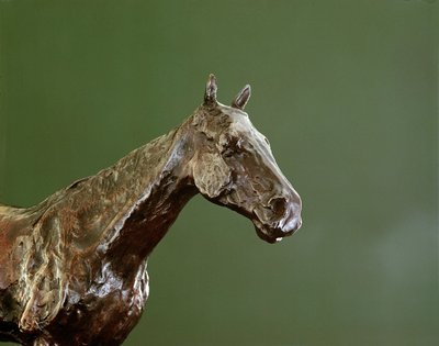 馬の頭（ブロンズ）（335585の詳細） 作： Edgar Degas