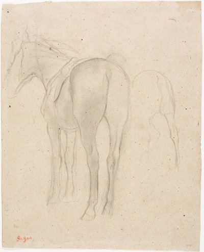 馬の研究 作： Edgar Degas