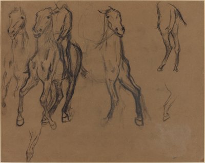 馬の研究、1886年頃（茶色の紙に木炭と黒鉛） 作： Edgar Degas
