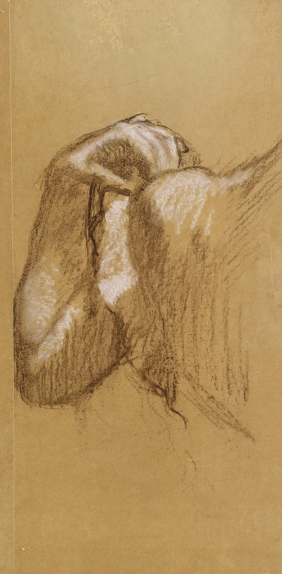 腕の研究、1895-90年頃（茶色がかったトレーシングペーパーに茶色と白のパステルカラー） 作： Edgar Degas