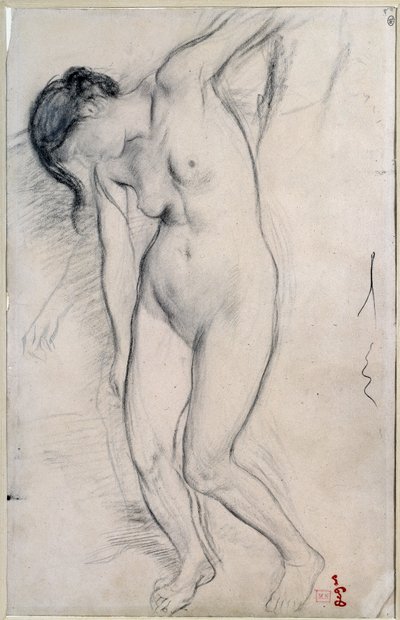 中年期のギールの情景」のために立っている裸の女性の習作。エドガー・ドガ(1834-1917)によるドローイング、1863-1865年頃）。)薄さ：0.35 X 0.22m。パリ、オルセー美術館（Musee d