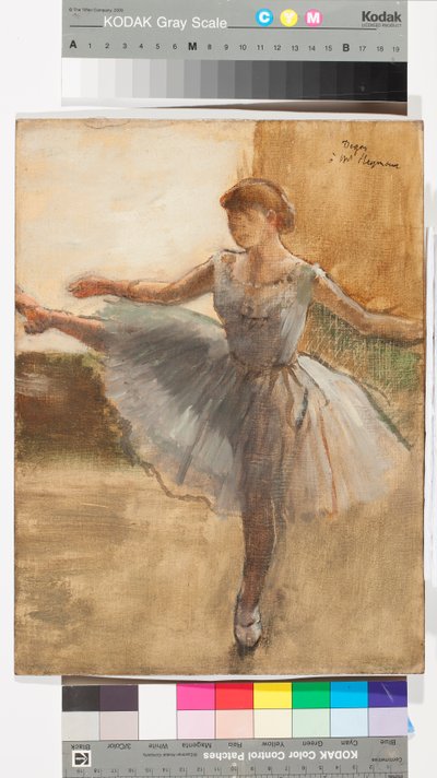 バレリーナ、1876年頃（キャンバスに油彩） 作： Edgar Degas