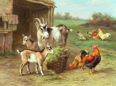 農場で餌を食べるニワトリとヤギ 作： Edgar Hunt