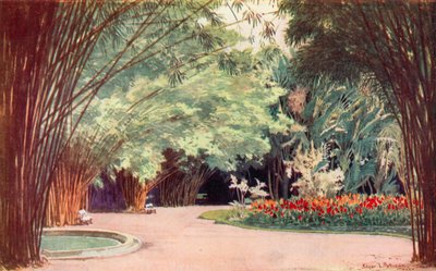 竹林、植物園 (カラー リソ) 作： Edgar L. Pattison