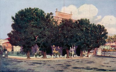 Hotel dos Estrangeiros, リオの公式世界と著名な外国人が頻繁に訪れる (色リソ) 作： Edgar L. Pattison