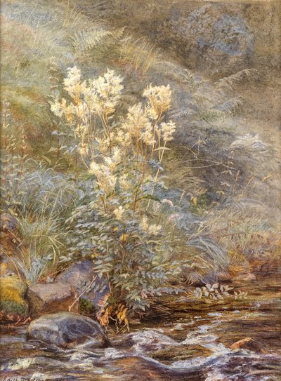 バーンの横にあるメドウスイート、インバーネスシャー、1883年頃（水彩画を白で強調） 作： Edith Martineau