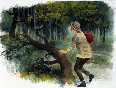児童文学：アペニン山脈からアンデスまで。 森の中で一人の少年（デッサン） 作： Edmondo de Amicis