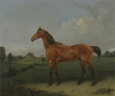 フィールドのベイホース（キャンバスに油彩） 作： Edmund Bristow