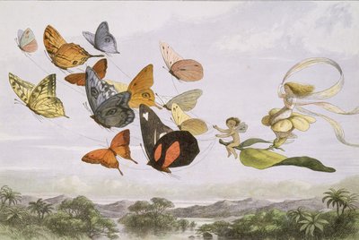 妖精の国で。エルフの世界からの一連の写真、1870年。 作： Edmund Evans