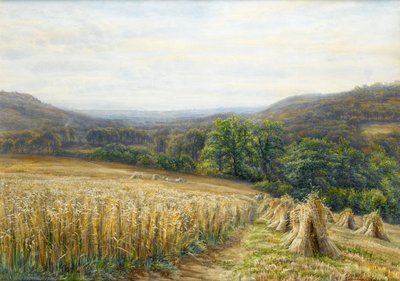1884年、アシュバートン近郊の収穫時期（紙と紙とガッシュ） 作： Edmund George Warren