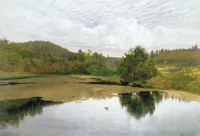 The Pool、1860（トイレとペンと紙にインク） 作： Edmund George Warren