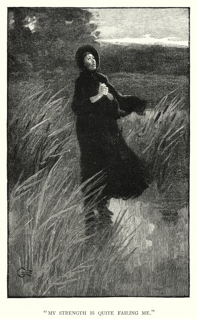シャーロット・ブロンテ著「ジェーン・エア」の挿絵（彫刻）。 作： Edmund Henry Garrett