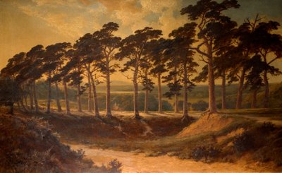 最初からハロー、ハムステッドヒース、1875 作： Edmund John Niemann