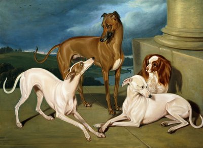 ウィペットとキング・スパニエル、1837 作： Edmund Jr Havell