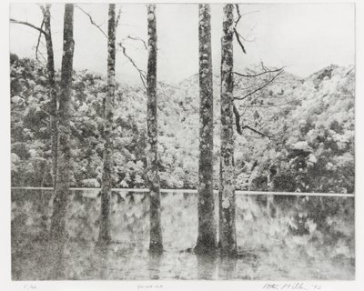 Sai-no-Ko, 1992 作： Edouard Cremieux