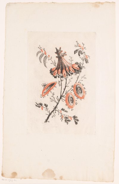 日傘型の花 フルール・イデアル（シリーズタイトル） 作： Edouard Gautier Dagoty