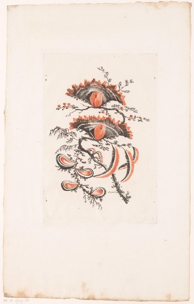 扇形の花 フルール・イデアル（シリーズタイトル） 作： Edouard Gautier Dagoty