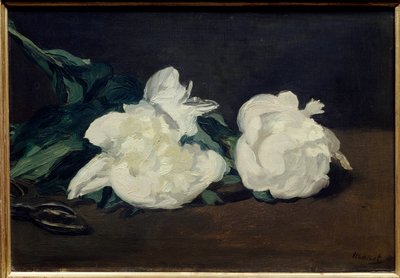 白牡丹とセカトゥールの枝 エドゥアール・マネ（1832-1883）の絵画 1864年 薄暗い。0.31×0.46メートル パリオルセー美術館 作： Édouard Manet