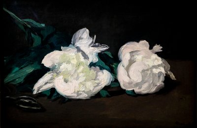 白牡丹と鋏の枝 作： Édouard Manet