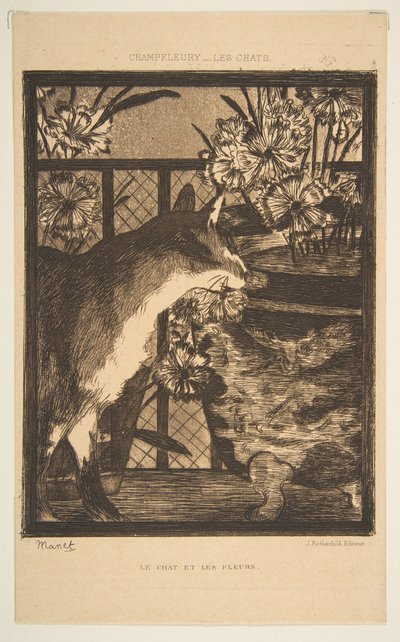 猫と花。 Champfleury、1869による猫のイラスト。 作： Édouard Manet