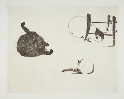 猫、1868-69。 作： Édouard Manet