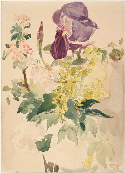 アイリス、ラバーナム、ゼラニウムのフラワーピース、1880年 作： Édouard Manet