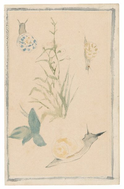 カタツムリ、草花のスケッチ 作： Édouard Manet