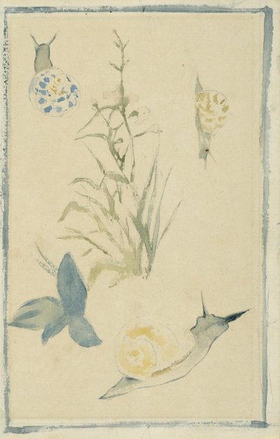 カタツムリのスケッチ、顕花植物、c.1880 作： Édouard Manet