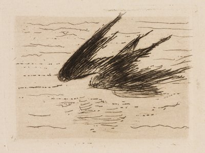 ツバメ、Le Fleuveより8枚目 作： Édouard Manet