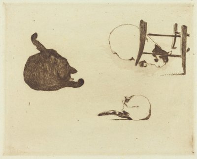 The Cats (レ チャット) 作： Édouard Manet